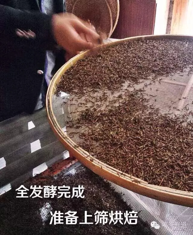 烘焙金骏眉