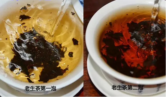 泡普洱茶