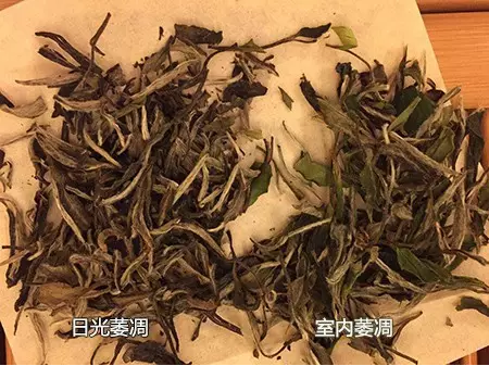 两种茶叶区别