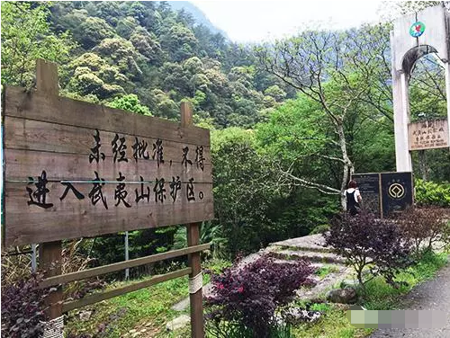 武夷山红茶区