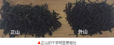 两种小种