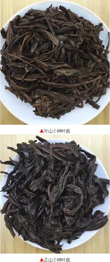 正山小种茶底