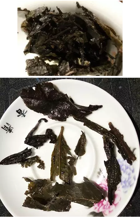 黑茶茶底