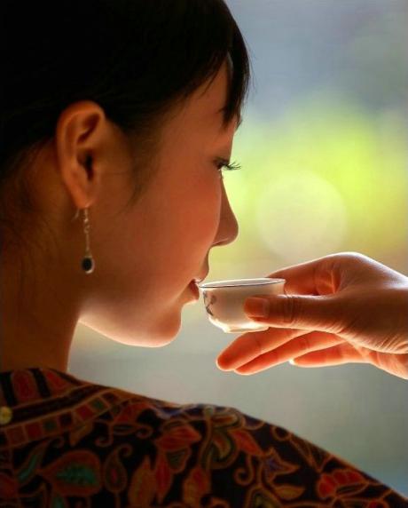 品尝铁观音 品尝铁观音