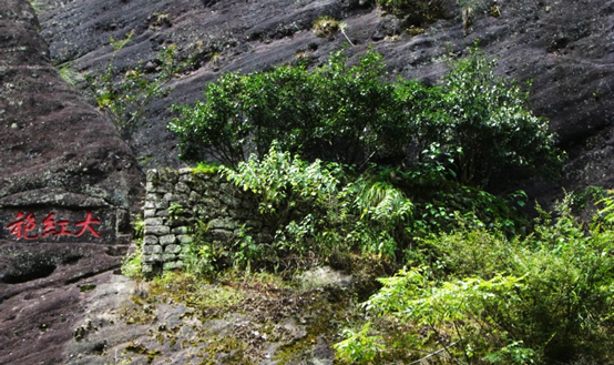 大红袍景区